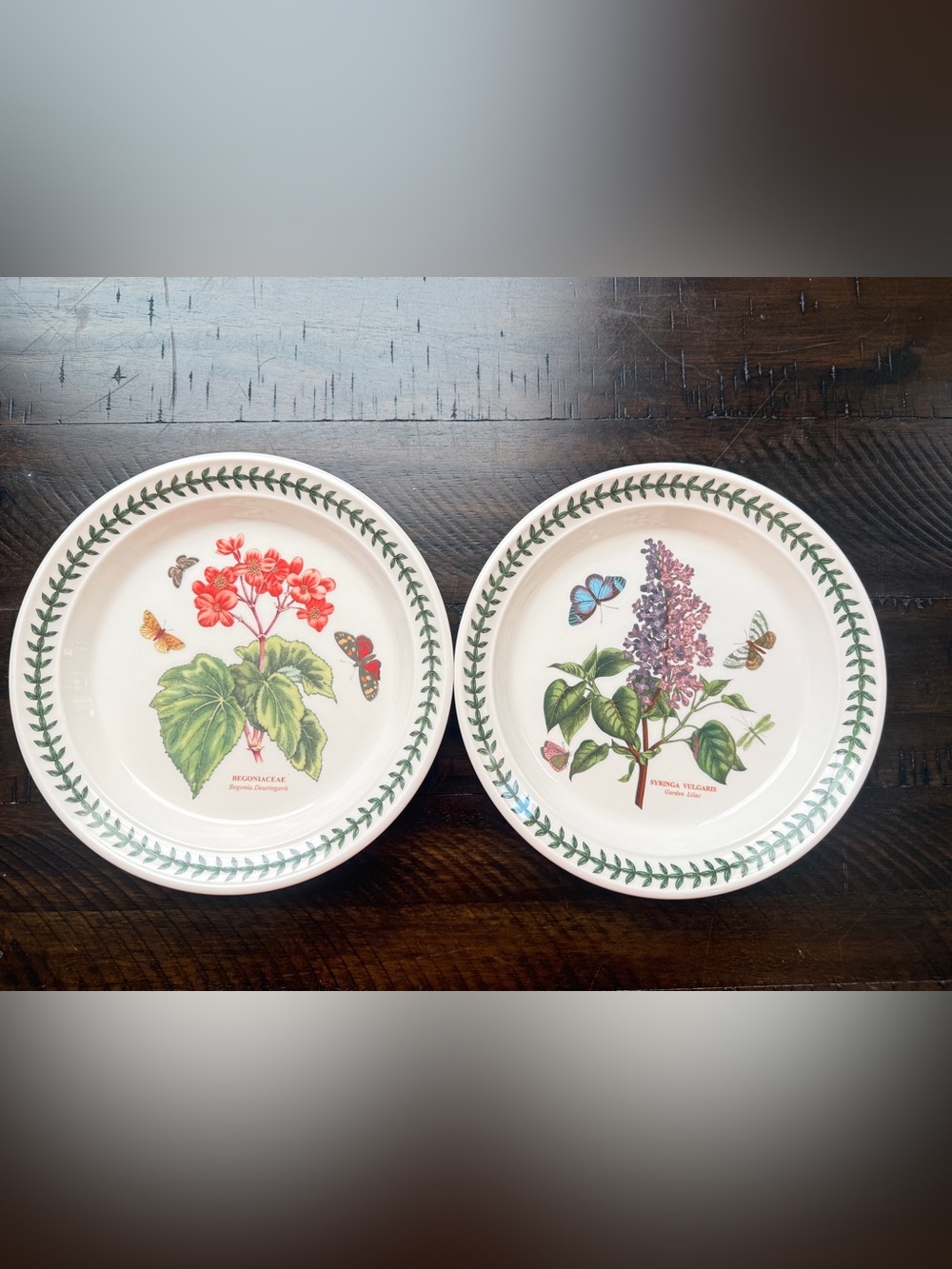 NWT Portmeirion Botanic Garden Salad/Dessert Plates 8” Lilac & Begonia Set of 2